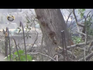 video сирия июнь 2014 млиха провинция дамаск попадание в т 72 из рпг м 79 оса sex