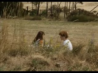 video slunce seno erotika или солнце сено эротика на чешском языке sex