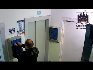 video ответственный житель навел порядок в подьезде sex