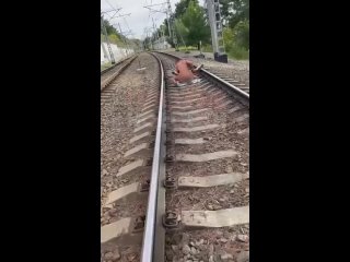 video в сочи парочка не удержалась и начала заниматься сексом прямо на жд путях sex