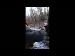 video перебранка с охотоведом закончилась стрельбой sex