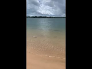 video тот самый день когда наконец то вырвался на побережье чтобы вдоволь накупаться sex