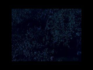 video большой плохой волк волк оборотень big bad wolf 2006 лицензия public40911932 sex