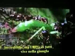 video доктор симончини рак это грибок сода натуральный антибиотик sex