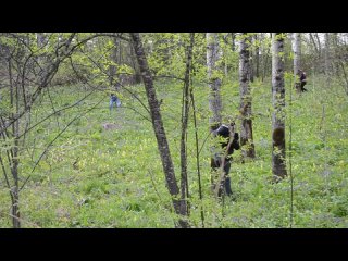video лазертагспецподразделение tff 1 sex