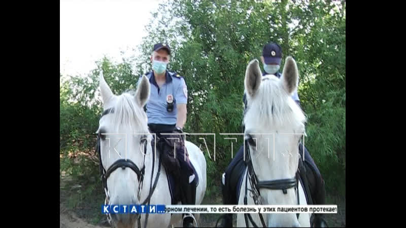 video нижегородская полиция третий день решает что делать с сексуальной оргией на гребном канале sex