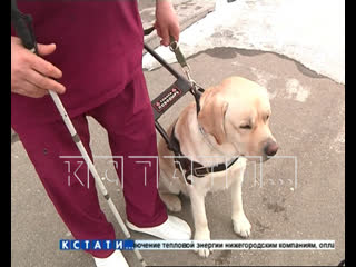 video слепого инвалида вместе с молодые поводырем в метель выгнали из междугороднего автобуса sex