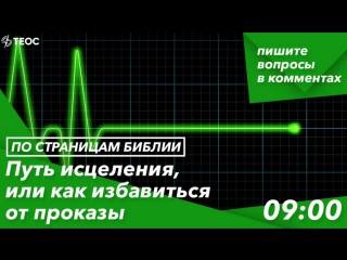 video книга левит от маленького пятнышка к смертельному исходу sex
