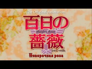 video hyakujitsu no bara ova непорочная роза ова 2 серия end djatom miks badwolf mistake legion eladiel sex