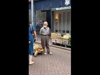 video японец хисао митани гуляет со своей черепахой sex