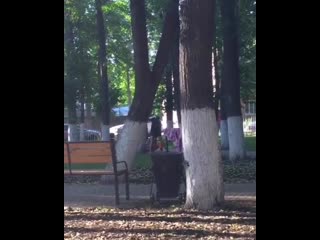 video в общественном парке на улице керамзаводагде гуляют молодые справляют свои нужды прямо у лавочке никого не sex