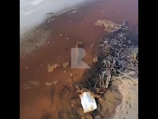 video от подписчицы старица в солотче sex