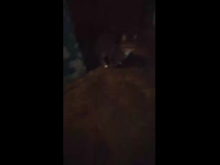video mintes vid 20210309 075737 mp4 sex