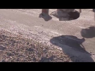 video в россии стартовали продажи первых ноутбуков отечественной сборки от бренда osio московский завод по производству sex