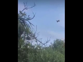 video свидетельство надежности российской боевой техники су 25 ввс конго сумел продолжить полет после прямого попадание sex