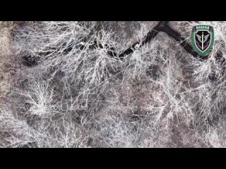 video операторы бпла донецкого подразделения каскад уничтожают молодые прямо в их окопах sex