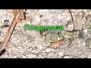 video русский герой находясь в безвыходной ситуации чтобы не сдаваться в плен подрывает себя гранатой пусть господь sex