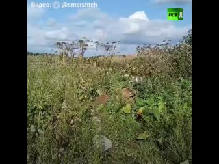 video железная барракуда сухопутный дрон с таким названием разработала группа волонтёров энтузиастов бронированный sex