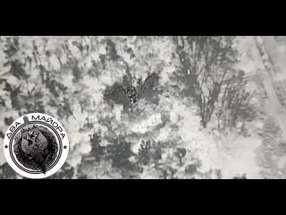 video херсонская область наша артиллерия охотится за групповой целью в итоге точнейший прилёт по противнику завершает sex