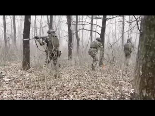 video там где мы там победа с днём морской пехоты всех причастных братцы здоровья и фарта остальное будет видео от sex