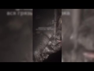 video какая третья линия обороны мы измотаны 4 часа сидим бьют по нам без перерыва если это третья линия то добро sex