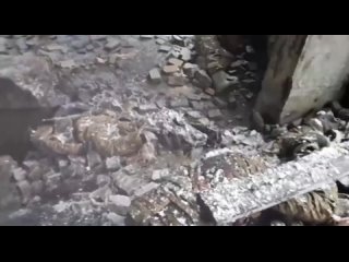 video наши бойцы осматривают тела павшего противника в бывших украинских укрытиях в марьинке ㅤ город был взят под sex
