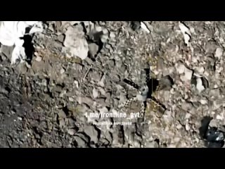 video мухи попались в сети паука разведчики из 2го ак сбросили противопехотную мину пом 2 на позиции всушников когда те sex