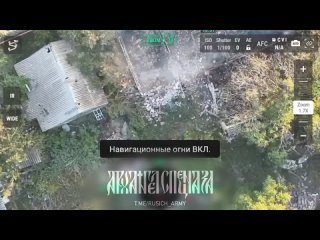 video оставляем всушников без связи тарелка starlink попала в фокус нашего внимания к сожалению ветер помешал отработать sex