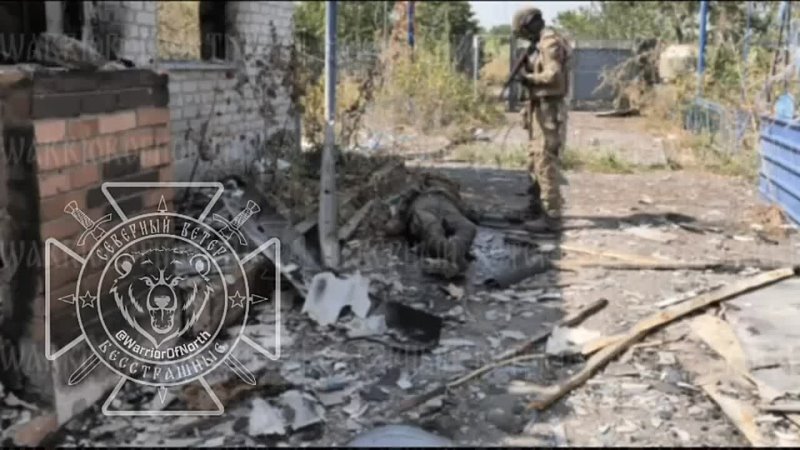 video курское приграничье ликвидированные бойцами группирои север иностранные наемники всу северный ветер sex