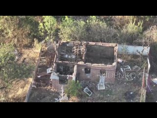 video сегодняшние кадры из н п нью йорк пацаны передают привет балаболам которые разгоняют информацию о том что в sex