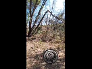 video курская область суджанский район наши осматривают вражеский блиндаж всу всё заминировали перед уходом наши вовремя sex