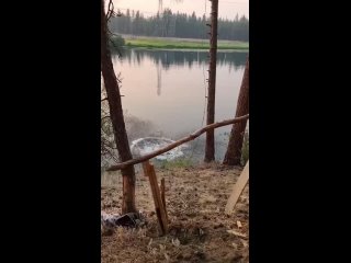 video и этот тарзаночник все таки не остался целым sex