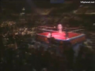 video wwf summerslam 1988 sex