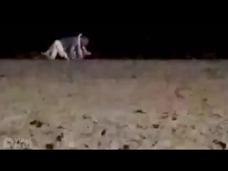 video публичный секс на пляже паттайя таиланд sex
