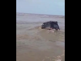 video слабоумие и отвага ведут чью то жопу к приключениям sex