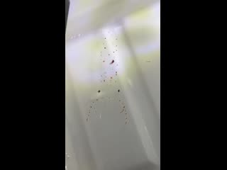 video удивительный кальмар leachia pacifica совершенно уникальным кальмар sex