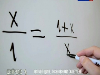 video основной элемент выпуск 60 в поисках абсолютной гармонии sex