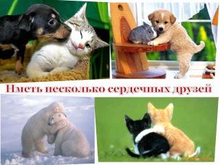 video искусство быть счастливым полезные советы и море позитива sex