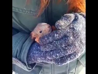 video маленькая и сладенькая девочка белочка sex