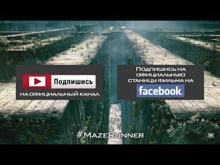 video бегущий в лабиринте the maze runner sex