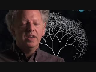 video фракталы порядок в хаосе в поисках скрытого измерения fractals hunting the hidden dimension 2008 сша pbs nova sex