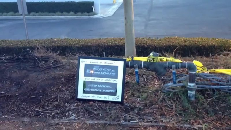 video rip paul walker and roger rodas sex