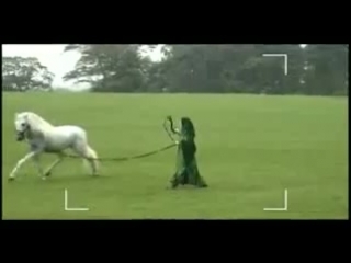 video bradley and colin horsing around sex