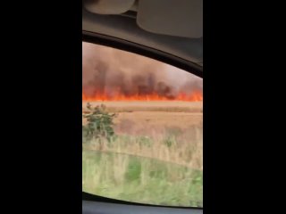 video видео от новый мировой порядок сопротивление sex