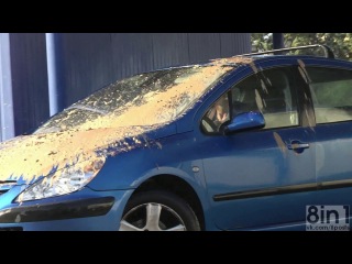 video розыгрыш реми гайяр большой голубь и автомобиль remi gaillard big pigeon and the car clip from the film rémi sex