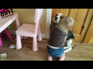 video девочка утешает и обнимает молодые которая разбила тарелку girl consoles and hugs her dog even though he broke her sex