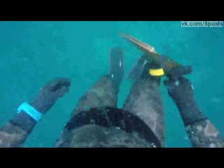 video мужик пытается застрелить акулу но она нападает на него и кусает spear fisherman is porn by shark in western sex