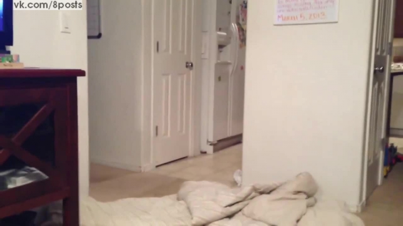 video фэйл фокус маленького мальчика с исчезновением под одеялом a little wizard boy disappears under a blanket fail 2016 sex