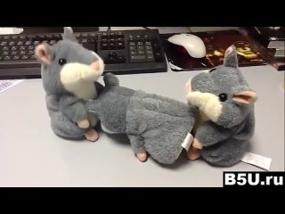 video секс говорящих хомяков говорящий хомяк тролль ахахах sex