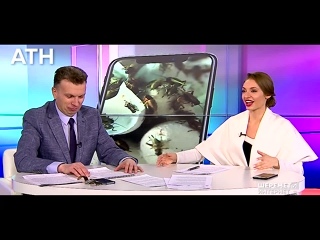 video японец мечтал о сексе с самкой таракана sex